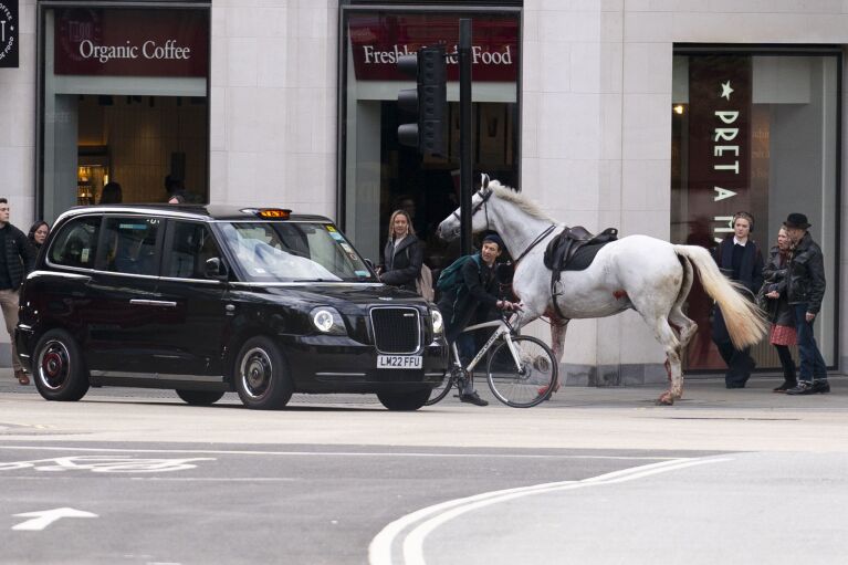 Horses loose in London - Figure 2