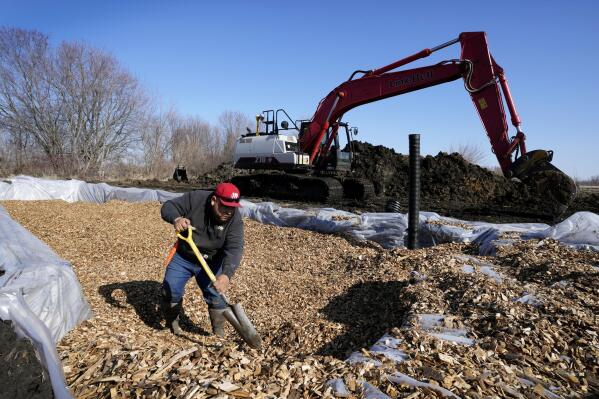 A worker shovels wood chips in a bioreactor trench in a farm field, Tuesday, March 28, 2023, near Roland, Iowa. Simple systems called bioreactors and streamside buffers help filter nitrates from rainwater before it can reach streams and rivers. (AP Photo/Charlie Neibergall)
