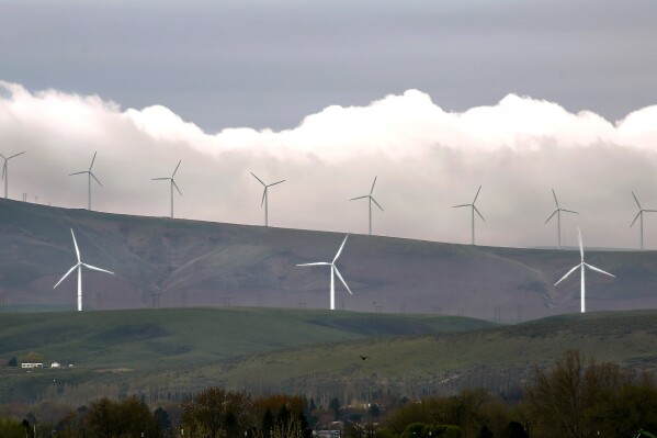 FILE - Wind turbines are seen on April 16, 2019, south of Kennewick, Wash. Washington Gov. Jay Inslee on Thursday, May 23, 2024, rejected a recommendation to cut a proposal for what would be the state's largest wind farm in half, giving new life to the $1.7 billion project. (Bob Brawdy/The Tri-City Herald via AP, File)