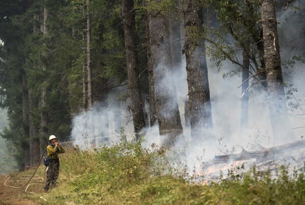 Washington Department of Natural Resources firefighter Chris Werner, of Chehalis, sprays the south fire line of the Archer Mountain fire in Skamania County, Wash., Sept. 6, 2017. (Alisha Jucevic/The Columbian via AP, File)