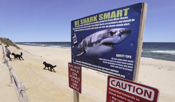 FILE - A woman walks with her dogs behind a shark warning sign at Newcomb Hollow Beach in Wellfleet, Mass, on May, 22, 2019. The New England Aquarium and an environmental group are launching a project to use data collected about white shark sightings via an app to make beaches more safe. (AP Photo/Charles Krupa, File)