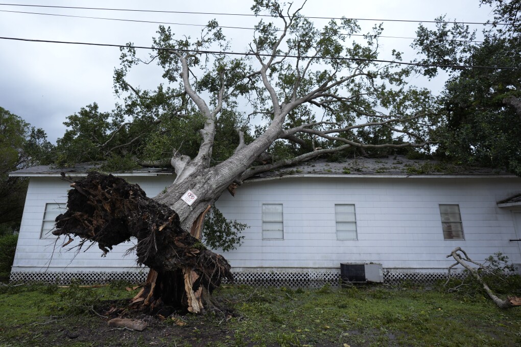 An upended tree lays on the rooftop of the Bethel Church in the aftermath of Hurricane Beryl, in Van Vleck, Texas, July 8, 2024. (AP Photo/Eric Gay)