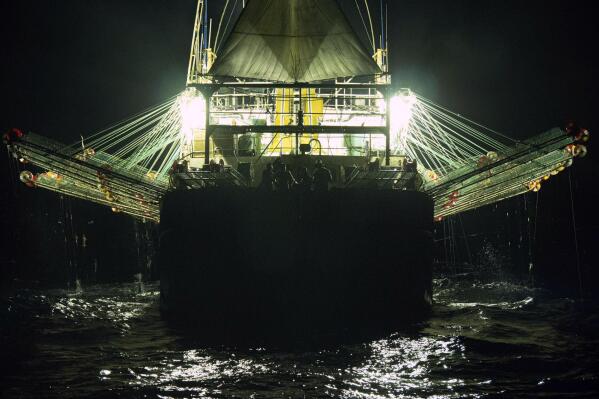 In this July 2021 photo provided by Sea Shepherd, a Chinese-flagged ship fishes for squid at night on the high seas off the west coast of South America. The number of Chinese-flagged vessels in the south Pacific has surged 10-fold from 54 active vessels in 2009 to 557 in 2020, according to the South Pacific Regional Fisheries Management Organization, or SPRFMO, an inter-governmental group of 15 members charged with ensuring the conservation and sustainable fishing of the species. Meanwhile, the size of its catch has grown from 70,000 tons in 2009 to 358,000. (Isaac Haslam/Sea Shepherd via AP)