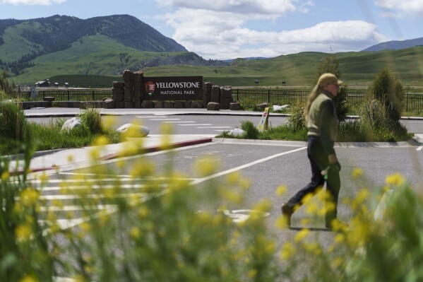 FILE – A pedestrian walks past the entrance to Yellowstone National Park, June 15, 2022, in Gardiner, Montana.  A man who kicked a bison in the leg was then injured by one of the animals on April 21, 2024, in Yellowstone National Park, according to park officials.  Park rangers arrested and jailed him after he was treated for minor injuries.  (AP Photo/David Goldman, file)