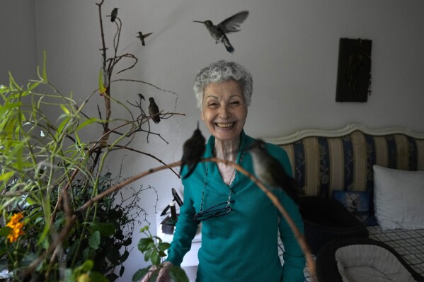 Catia Lattouf poses for a photo with hummingbirds in her care, in her apartment that she has turned into a makeshift clinic for the tiny birds, in Mexico City, Monday, Aug. 7, 2023. Lattouf who has some 60 hummingbirds under her care, has become a reference source for bird lovers, amateur and professional alike, across Mexico and other parts of Latin America. (AP Photo/Fernando Llano)