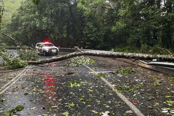 In this image supplied by the Queensland Police Service, a police vehicle is blocked by a fallen tree in North Queensland, Australia, Wednesday, Dec. 13, 2023. The first tropical cyclone to hit Australia in the current season has weakened to a low pressure system but continues to lash the northeast coast with flooding rain. More than 30,000 homes and businesses are without power. (Queensland Police Service via AP)