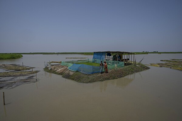 Monuwara Begum, 45, right, and Musikur Alam, 14, stand on higher ground surrounded by floodwaters in Sandahkhaiti, a floating island village in the Brahmaputra River in Morigaon district, Assam, India, Wednesday, Aug. 30, 2023. (AP Photo/Anupam Nath)