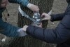 Olivia Schenker, left, and Zella Milfred, right, tape a plastic bottle to a maple tree for sap collection during their class on maple syrup and climate change, Friday, Feb. 23, 2024, at Northwestern University in Evanston, Ill. It’s a class that the students, who come from a variety of majors, say is providing hands-on experience in data collection and a front-row seat to witness climate change. (AP Photo/Joshua A. Bickel)