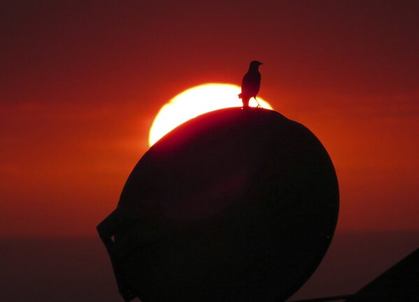 
              In this May 22, 2018, photo provided by Chris Stewart the sun sets through “vog,” or volcanic smog, in Kailua-Kona, Hawaii. Kilauea volcano on Hawaii’s Big Island has had it all over the past three weeks: molten rock shooting toward the sky, lava oozing from the ground and ash clouds rising miles into the air. You can also add “vog” to the mix. Retired photojournalist Chris Stewart says there’s one good thing about vog: It intensifies the colors of a sunset. But it depends on how thick the haze is. “Some days it’s thin enough you can see the sun passing through,” he said. “But other days we just go inside because we can’t see it at all.” (Chris Stewart via AP)
            