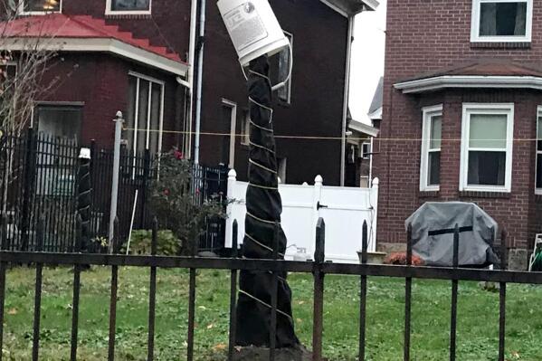 This 2020 image provided by Mary Menniti shows a fig tree wrapped in tar paper and topped with a protective bucket in Pittsburgh. (Mary Menniti/TheItalianGardenProject.com via AP)