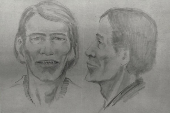 This image provided by Mohave County Sheriff's Office shows the likeness of Luis Alonso Paredes drawn by the Museum of Northern Arizona. Paredes remains were identified by the Mohave County Sheriff's Office, the office announced on Tuesday, Dec. 26, 2023. His remains were found by hikers in a shallow grave 47 years ago near a lake on the border of Arizona and Nevada. (Mohave County Sheriff's Office via AP)