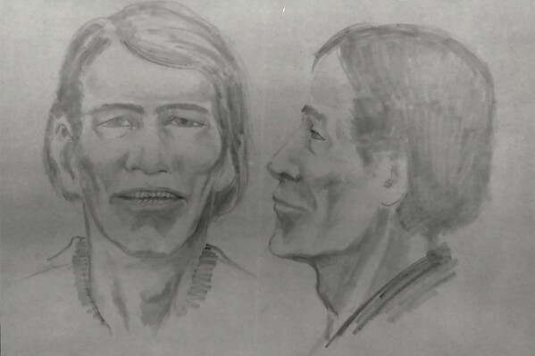This image provided by Mohave County Sheriff's Office shows the likeness of Luis Alonso Paredes drawn by the Museum of Northern Arizona. Paredes remains were identified by the Mohave County Sheriff's Office, the office announced on Tuesday, Dec. 26, 2023. His remains were found by hikers in a shallow grave 47 years ago near a lake on the border of Arizona and Nevada. (Mohave County Sheriff's Office via AP)