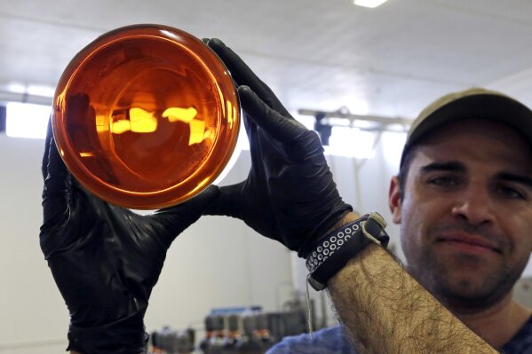 
              FILE--In this April 24, 2018, file photo, Julian Cabrera, factory manager at New Earth Biosciences, holds up a large glass beaker containing thick, golden-colored, fully-refined CBD oil in Salem, Ore. The Coca-Cola Company says that it's "closely watching" the growth of the use of the non-psychoactive element of cannabis in wellness drinks. (AP Photo/Don Ryan, file)
            