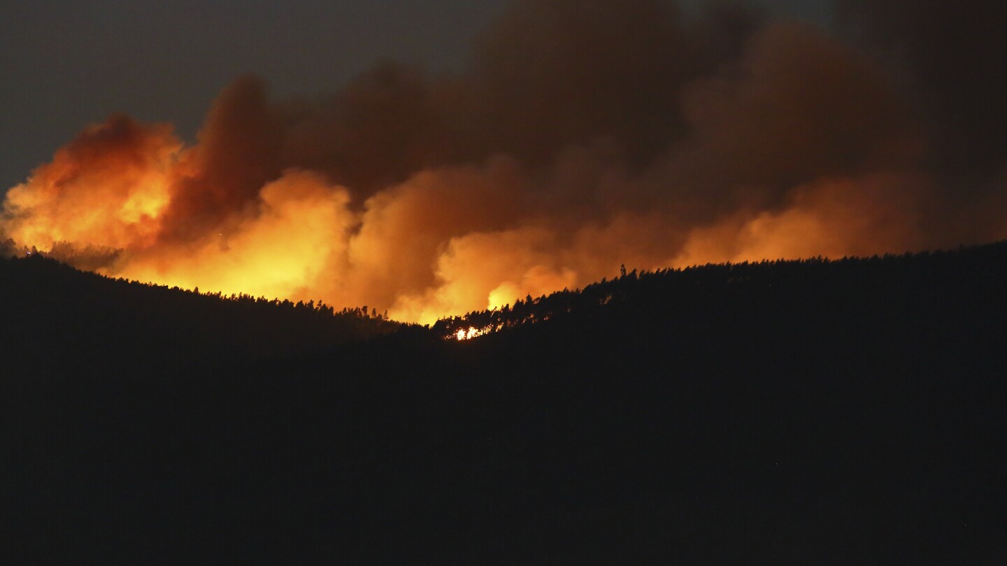 Portugal proclaims a state of calamity as wildfires rage out of keep an eye on