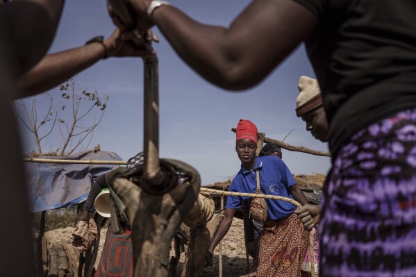 People mine for gold in the Kedougou region of Senegal on Thursday, Jan. 16, 2025. (AP Photo/Annika Hammerschlag)