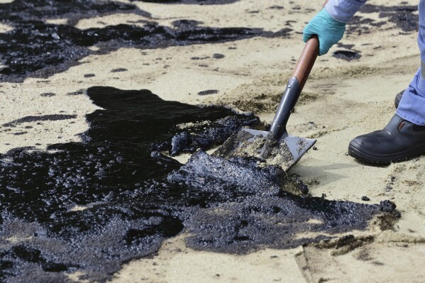A worker cleans oil spill along Sentosa's Tanjong Beach area in Singapore, Sunday, June 16, 2024. An oil spill caused by a dredger boat hitting a stationary cargo tanker has blackened part of Singapore’s southern coastline, including the popular resort island of Sentosa, and sparked concerns it may threaten marine wildlife. (AP Photo/Suhaimi Abdullah)