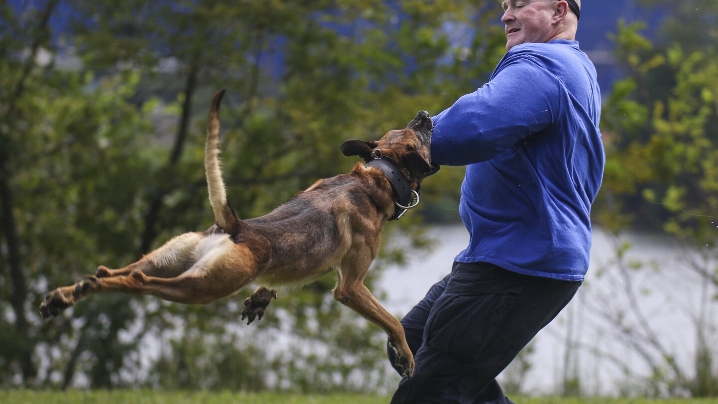 Законодателите в Канзас се стремят да увеличат наказанията за нараняване на полицейски кучета