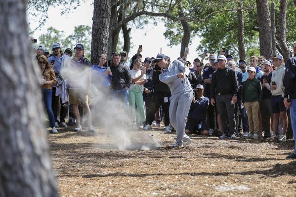 Adam Schenk hits out of the rough on the sixth hole during the final round of the Valspar Championship golf tournament Sunday, March 19, 2023, at Innisbrook in Palm Harbor, Fla. (AP Photo/Mike Carlson)