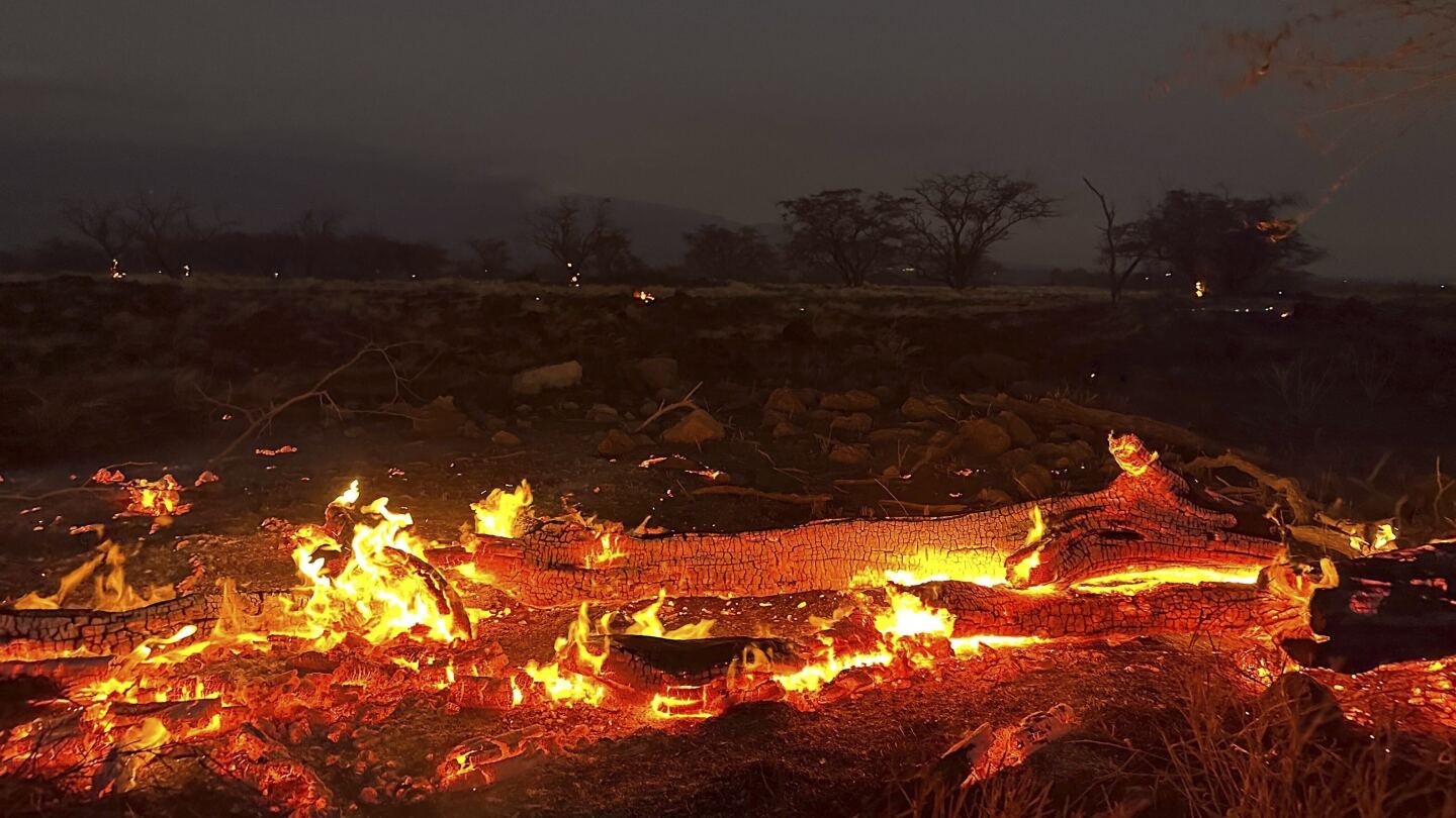 36 people have died in forest fires in Hawaii.  Follow the latest