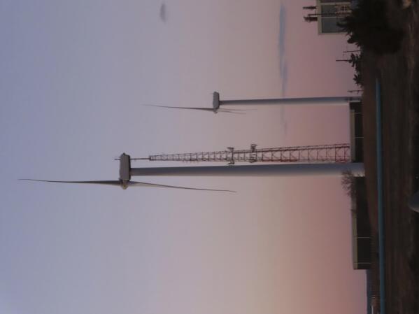 The sun sets behind a land-based wind farm in Atlantic City, N.J. on Feb. 10, 2022. The National Oceanic and Atmospheric Administration on Tuesday, April 4, 2023, issued a report concluding that New Jersey's first planned offshore wind farm, Ocean Wind I, will likely have adverse impacts on whales and other marine animals, but will not seriously harm or kill them. (AP Photo/Wayne Parry)