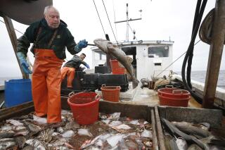 Feds boost New England fishing monitoring coverage to 100%
