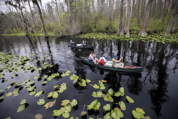 A group of visitors return to Stephen C. Foster State Park after an overnight camping trip on the Red Trail in the Okefenokee National Wildlife Refuge, April 6, 2022, in Fargo, Ga. (AP Photo/Stephen B. Morton, File)