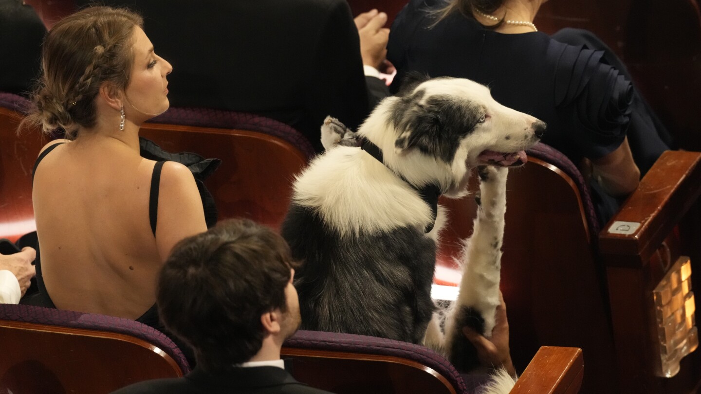 Знаменитото куче Меси стигна до Оскарите. Ето как шоуто извади неговото (ръкопляскащо) камео