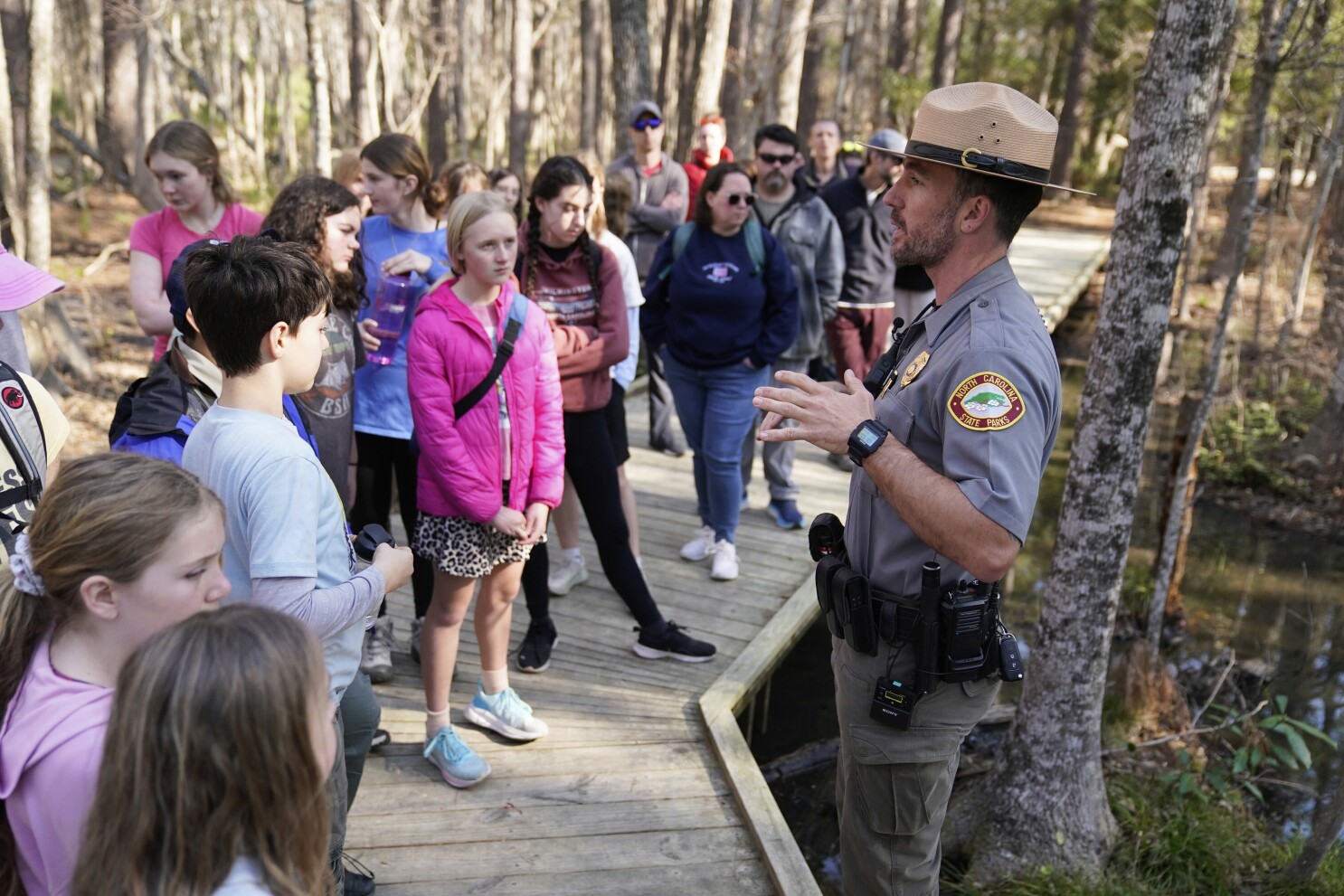 Insect-eating Venus flytraps thrive in the Carolinas as hikers peek into their native ecosystem