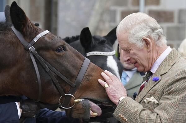 King Charles III feeds carrots to horses as he attends a reception to thank the community of Aberdeenshire for their organisation and support following the death of Queen Elizabeth II at Station Square, the Victoria & Albert Halls, Ballater, United Kingdom, Tuesday Oct. 11, 2022. (Andrew Milligan/pool photo via AP)