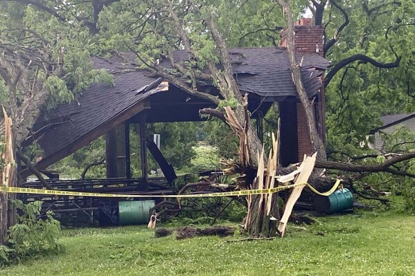 Several trees slammed into a structure at Rotary Park in Livonia, MIch., Wednesday, June 5, 2024 as a tornado tore through the western Wayne County community. (Nolan Finley/The Detroit News via AP)