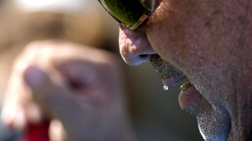 Sweat rolls off the lip of Robert Harris as he digs fence post holes, Tuesday, June 27, 2023, in Houston. Meteorologists say scorching temperatures brought on by a heat dome have taxed the Texas power grid and threaten to bring record highs to the state. (AP Photo/David J. Phillip)