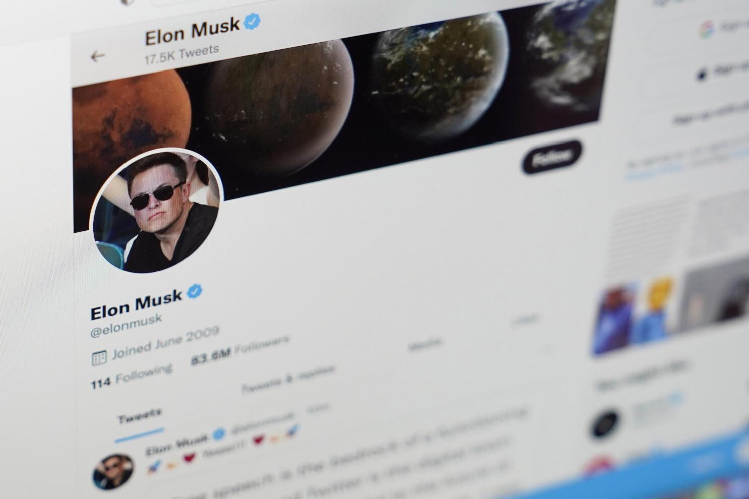 Elon Musk appears to fire software engineer who argued with him on