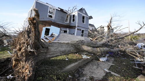 FILE - An overturned tree sits in front of a tornado damaged home in Mayfield, Ky., Dec. 11, 2021. Kentucky's state auditor's office announced Thursday, July 20, 2023, that disaster recovery funds set up by Kentucky's Democratic governor to assist victims of tornadoes and flooding will be scrutinized by the office at the request of a Republican-led legislative panel, a decision fraught with political undertones. (AP Photo/Mark Humphrey, File)