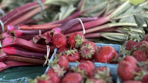 This June 3, 2023, image provided by Jessica Damiano shows farm-fresh strawberries and rhubarb for sale in Glen Cove, N.Y. (Jessica Damiano via AP)