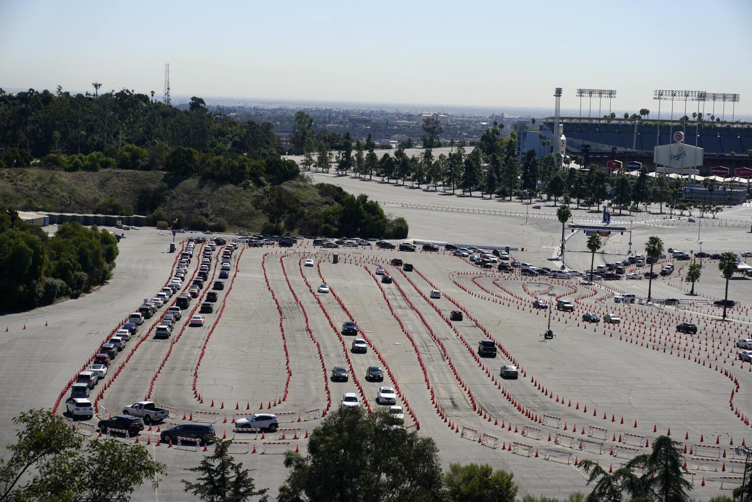 Dodgers Special Section