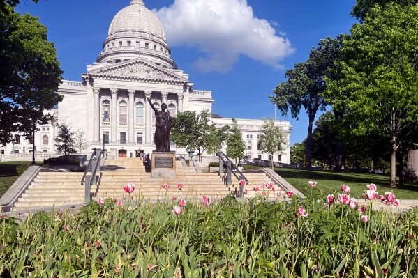 In this image provided by Shelby Ellison, tulips bloom in a flower bed in front to the Wisconsin Capitol, Thursday, May 16, 2024, in Madison, Wis. Workers have removed what appeared to be marijuana plants from a tulip garden on the Wisconsin Capitol grounds. State Department of Administration spokesperson Tatyana Warrick said in an email to The Associated Press on Friday, May 17, 2024, that workers have removed the plants, but that her agency lacks the expertise to determine if they were marijuana. (Shelby Ellison via AP)