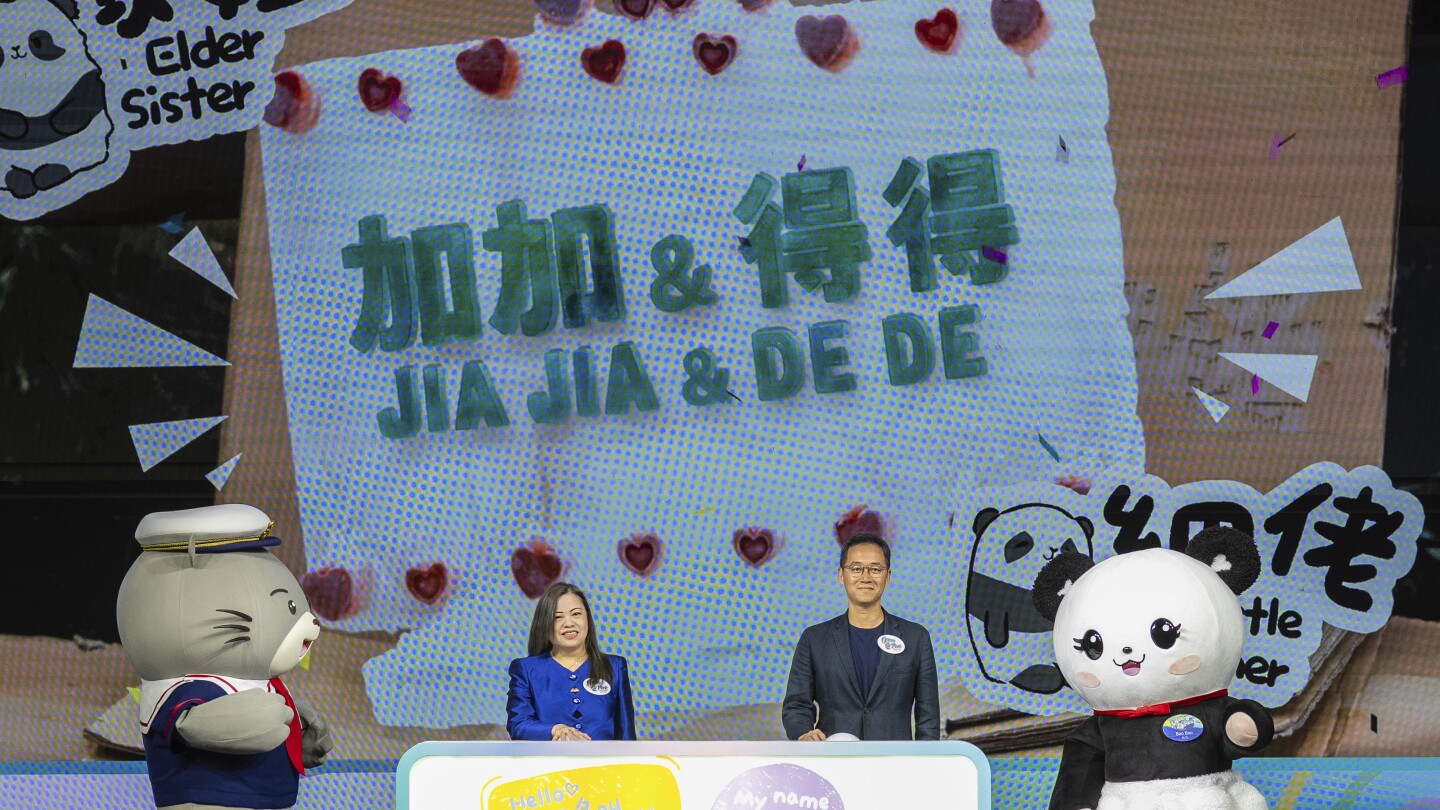 Hong Kong's baby pandas finally get names. Meet Jia Jia and De De