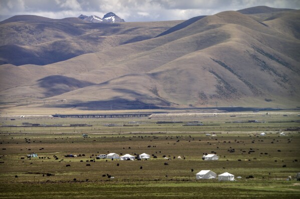 FILE - Yaks graze around tents set up for nomads to live in during the summer grazing season in a grassland near Lhasa in China's western Tibet Autonomous Region, photographed Wednesday, June 2, 2021, during a rare government-led tour of the region for foreign journalists. China is accelerating the forced urbanization of Tibetan villagers and nomads, according to a detailed report by Human Rights Watch, adding to the report on government and independent efforts to assimilate them by controlling their language and traditional Buddhist culture. (AP Photo/Mark Schiefelbein, File)