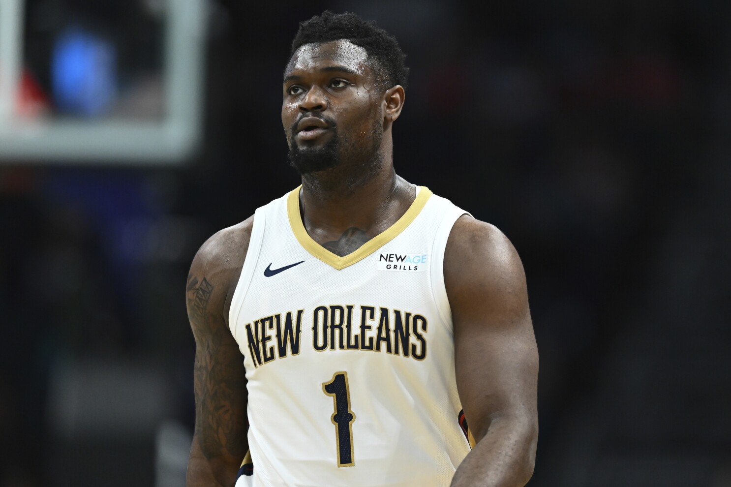 Pelican star Zion Williamson sued by a woman alleging he committed sexual violence against her