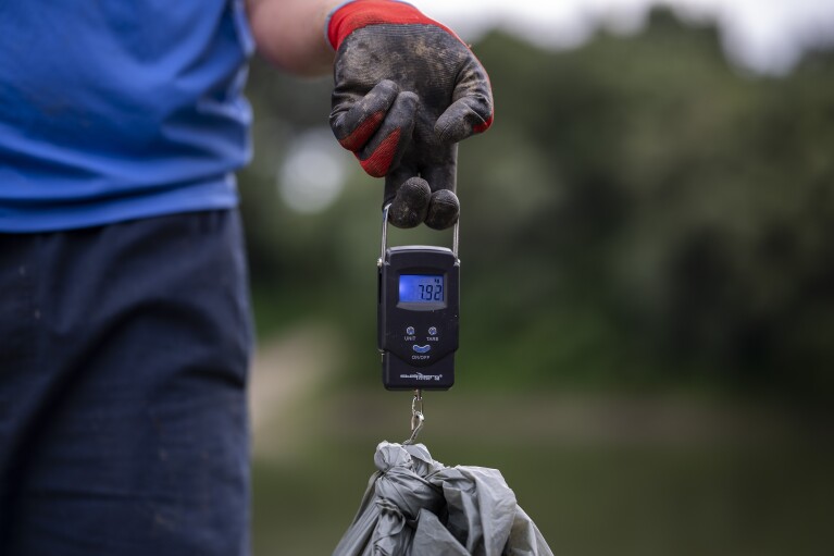 A volunteer uses a hand scale to measure the weight of a bag full of rubbish near Tiszaroff, Hungary, Tuesday, Aug. 1, 2023. (AP Photo/Denes Erdos)