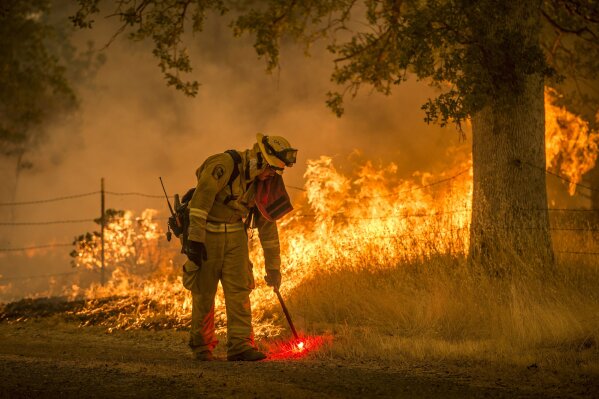 
              In this July 28, 2018, photo, a Cal Fire firefighter creates a back burn on Cloverdale Road near Redding, Calif., during the Carr Fire. With nearly 40 million people living in California and development spreading into once-wild regions, some of the state's best tools toward preventing wildfires can't be widely used. Still, there is growing agreement that the state must step up its use of forest management through prescribed burns and vegetation removal in an attempt to lessen the impact of wildfires. (Hector Amezcua/The Sacramento Bee via AP)
            