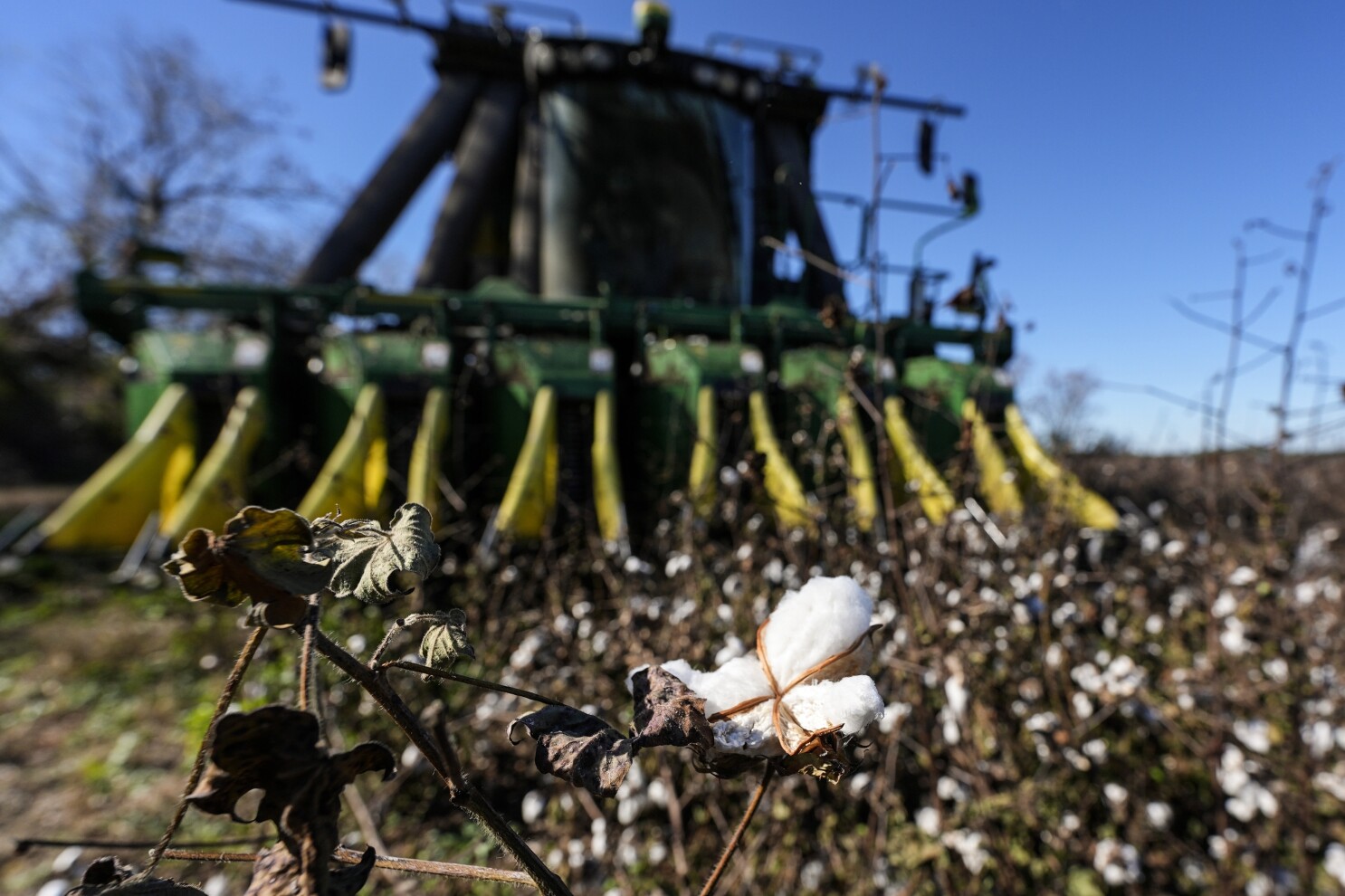 Federal officials set timeline for Helene aid to farmers as Georgia enacts tax breaks