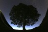 FILE - A general view of the stars above Sycamore Gap prior to the Perseid Meteor Shower above Hadrian's Wall near Bardon Mill, England, Wednesday, Aug. 12, 2015. Two men have been charged with causing criminal damage for cutting down a popular 150-year-old tree next to Hadrian's Wall and featured in a Kevin Costner’s 1991 film “Robin Hood: Prince Of Thieves,” prosecutors said Monday April 29, 2024. Daniel Graham and Adam Carruthers were also charged with damaging the wall that was built in AD 122 by Emperor Hadrian to to guard the north-west frontier of the Roman Empire. (AP Photo/Scott Heppell, File)