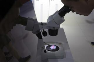 FILE - A visitor to the 21st China Beijing International High-tech Expo looks at a computer chip through the microscope displayed by the state-controlled Tsinghua Unigroup project which has emerged as a national champion for Beijing's semiconductor ambitions in Beijing, China on May 17, 2018. The European Union was closing in Tuesday April 18, 2023 on approval for a plan to ramp up semiconductor production as it seeks to ween itself off reliance on Asia for the tiny computer chips that control everything from cars to washing machines. (AP Photo/Ng Han Guan, File)