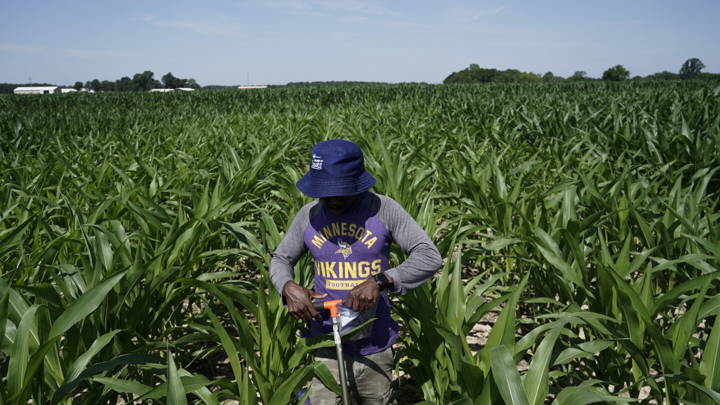 Scientists shielding farming from climate change need more public funding. But they're getting less