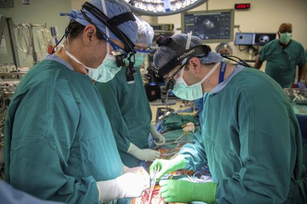 In this photo provided by Duke Health, surgeons Dr. Jacob Schroder, left, and Dr. Zachary Fitch perform a heart transplant at Duke University Hospital in Durham, N.C., in October 2022. Most transplanted hearts are from donors who are brain dead, but research published by Duke Health on Wednesday, June 7, 2023, shows a different approach can be just as successful and boost the number of available organs. It's called donation after circulatory death, a method long used to recover kidneys and other organs but not more fragile hearts. (Shawn Rocco/Duke Health via AP)