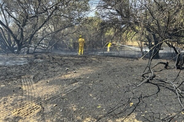 In this photo provided by the Maui Fire Department, firefighters work to extinguish a wildfire in Kihei, Hawaii on Tuesday, Nov. 14, 2023. The Maui Fire Department fully contained and extinguished the small fire that broke out during a warning that gusty winds and low humidity posed a risk that fires could spread rapidly in the western parts of the Hawaiian islands. (Rylan Yatsushiro/ Maui Fire Department via AP)