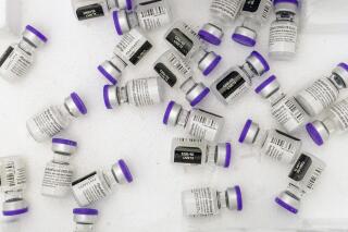 Vials with the Pfizer-BioNTech COVID-19 Vaccine are seen in a cooler before being thawed at a pop-up COVID-19 vaccination site at St. Luke's Episcopal Church, Tuesday, Jan. 26, 2021, in the Bronx borough of New York. Social media users are misrepresenting information from 2020 to falsely claim that the U.K. government has changed its vaccine recommendations for pregnant people. (AP Photo/Mary Altaffer)