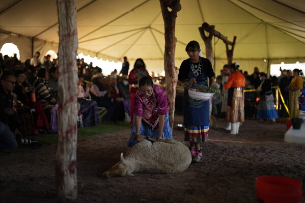 Miss Navajo Nation pageant contestant Amy Begaye, left, prepares a sheep with help from Kashlynn Benally during a sheep-butchering contest, Monday, Sept. 4, 2023, on the Navajo Nation in Window Rock, Ariz. "We butcher the sheep because it is a way of our life," said Begaye, who won this year's pageant. (AP Photo/John Locher)