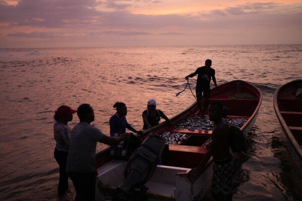 Fisherwoman Carolina Chavez talks with her crew after arriving to the beach to sell their catch as the sun sets in Choroni, Venezuela, Friday, June 9, 2023. Chavez started fishing at age 11 because her family needed food and became a full-time fisherwoman due to lack of work in the area. (AP Photo/Matias Delacroix)